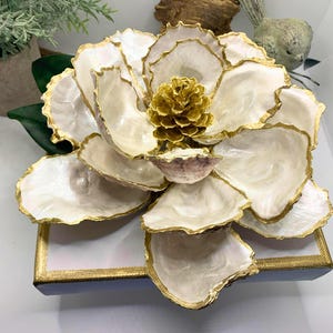 Large Oyster Shell Magnolia Flower, Oyster Magnolia Blossom, Southern ...