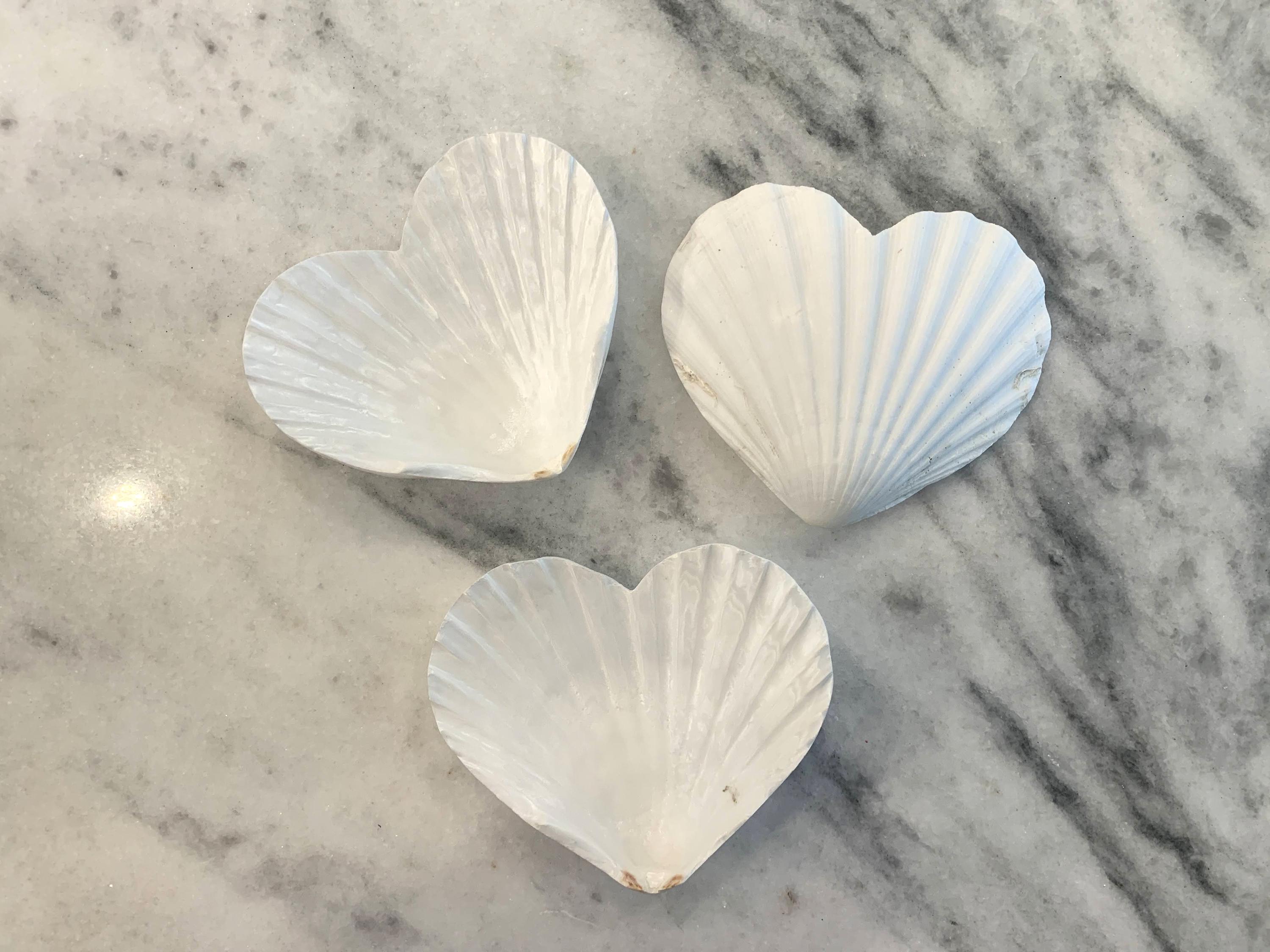 2 Pieces 25mm Natural Pink Conch Shell Heart Shape Beads | Unpolished DIY Pendant Charms For Jewelry Making | Genuine Shell Craft Supplies