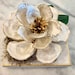 Large Oyster Shell Magnolia Flower, Oyster Magnolia Blossom, Southern ...