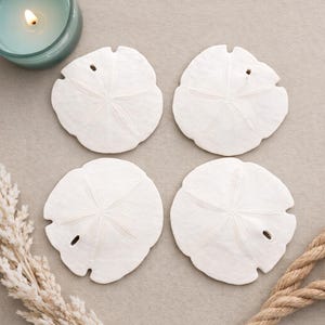 May include: Four white sand dollars with star-shaped patterns are arranged on a neutral-toned surface. A lit teal candle and decorative rope and dried plants are in the background. The sand dollars have a natural, textured appearance.