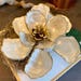 Large Oyster Shell Magnolia Flower, 2 Layer/tier, Oyster Magnolia ...