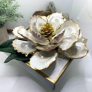 Large Oyster Shell Magnolia Flower, Oyster Magnolia Blossom, Southern ...