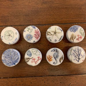 Coastal Wood Cabinet Knobs, Light switch cover, 1.5&quot; Drawer Pull, Desk Knob, Beach Coastal decor