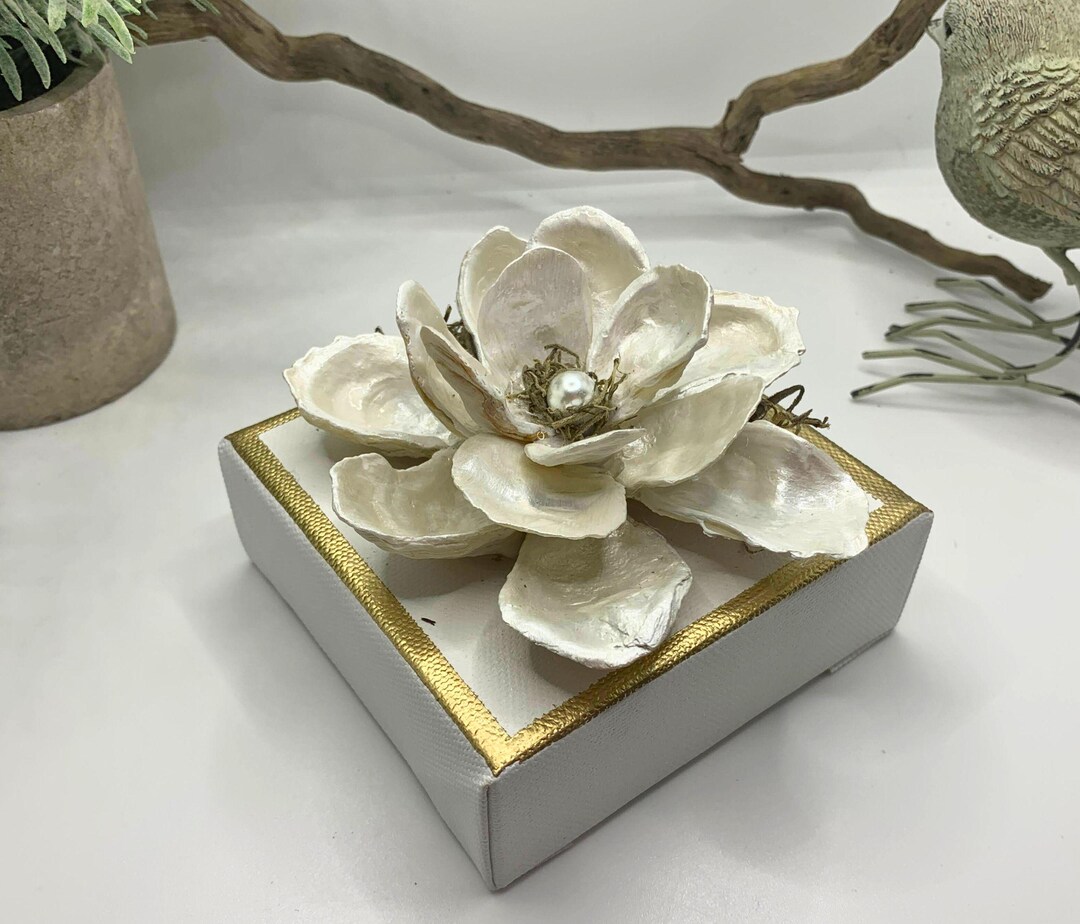 Small White Oyster Shell Magnolia Flower With Faux Pearl Center ...