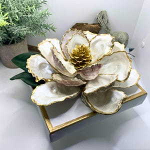 Large Oyster Shell Magnolia Flower, Oyster Magnolia Blossom, Southern ...