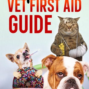 May include: A humorous illustration of a cat with a bandage on its head and a broken arm, a chihuahua with a thermometer in its mouth, and a bulldog with a sad expression. The text "Pet Vet First Aid Guide" is at the top of the image, and the text "Leah Hill, DVM" is at the bottom.