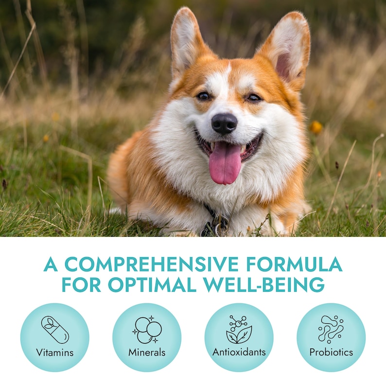 May include: A happy dog sitting in a grassy field. The text "A comprehensive formula for optimal well-being" is at the top of the image. Below the text are four icons representing vitamins, minerals, antioxidants, and probiotics.