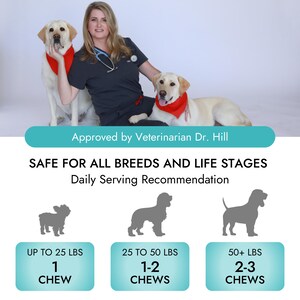 May include: A veterinarian with two dogs, one wearing a red bandana, sitting on a white background. The text "Approved by Veterinarian Dr. Hill" is at the top of the image. The text "SAFE FOR ALL BREEDS AND LIFE STAGES" is below the veterinarian. The text "Daily Serving Recommendation" is below the text "SAFE FOR ALL BREEDS AND LIFE STAGES". The image shows a chart with three columns, each with a silhouette of a dog and a recommended number of chews for dogs of different weights. The first column is for dogs up to 25 lbs, the second column is for dogs 25 to 50 lbs, and the third column is for dogs 50+ lbs.