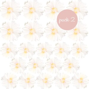 Flower Daisy Decals, Removable Nursery Floral Daisies Wall Stickers, Girls Bedroom Peony Decor, Kids Peonies Room Pack 2