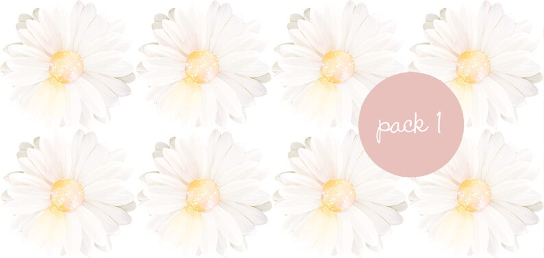 Flower Daisy Decals, Removable Nursery Floral Daisies Wall Stickers, Girls Bedroom Peony Decor, Kids Peonies Room Pack 1