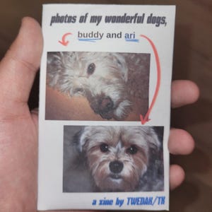 May include: A white zine titled "photos of my wonderful dogs, buddy and ari" featuring two color photographs of dogs. The top photo shows a light-colored dog lying down, and the bottom photo shows a small dog facing forward. Text reads "a zine by TWEDAK/TK".