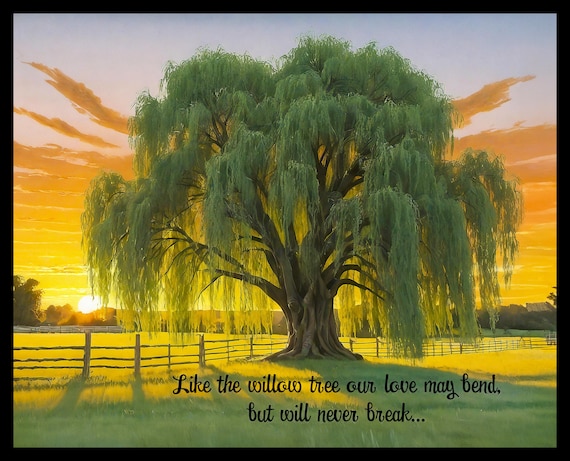 Willow Tree Print Great 9 Year Anniversary Gift or Wedding Gift for Couples Rolled or Framed Wall or Desktop Sizes Etsy