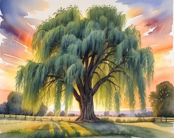 May include: A watercolor painting of a large weeping willow tree with green leaves against a sunset sky. The tree is in a field with a wooden fence in the background.