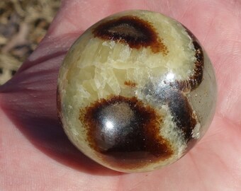 Dragon Stone #1 ~ ONE small 1.5 Inch Polished Septarian Pebble from Madagascar, Mineral Specimen, Massage Stone