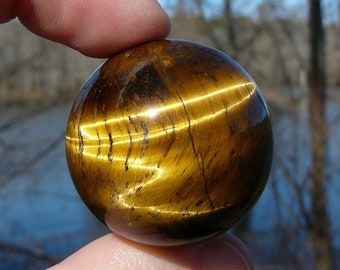 Polished Tiger Eye Sphere #3 ~ Genuine Tiger Eye "Cat's Eye" Stone Sphere ~ 1.25 Inch ~ Crystal Ball