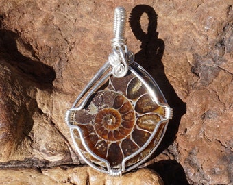 Ammonite Fossil and Sterling Silver Wire Wrapped Pendant ~ Earthy - Madagascar - Natural Fossil - Fibonacci Sequence - 1.65" x 1"