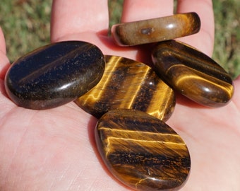 Tiger Eye Disc #40 ~ ONE Polished Genuine Tiger Eye "Cat's Eye" Stone Disc Worry Stone ~ Approx 1.5 Inch ~ Earth Science ~ Healing Stone