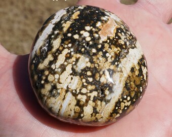 Ocean Jasper #3 ~ Polished Natural Ocean Jasper Palm Stone ~ YOU PICK ~ Approximately 2 - 2.5 Inch ~ 3 Ounces ~ Pebble ~ Healing Stone