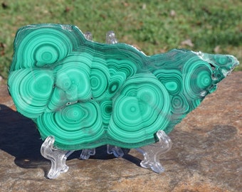 Malachite #7 ~ High Quality Polished Natural Bullseye Malachite Stone Slab ~ With Display Stand ~ 4.75" x 2.75" x 1/4 Inches ~ 5.4 Ounces