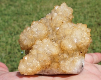 Citrine Rose #19 ~ High Quality Uruguayan Citrine "Rose" Crystal Cluster 2.5" x 2.25" x 1.75" ~ 5.84 Oz ~ Crystal Hedgehog ~ Stalactite