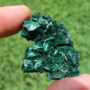 Malachite #3 ~ ONE Small Raw Fibrous African Malachite Crystal Mineral Specimen ~ Approximately 1.25 ~ 1.5 Inch