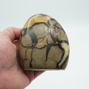 Septarian Stone #10 ~ Dragon Stone ~ Polished ~ Free Standing ~ Metaphysical ~ Natural Mineral ~ Home Decor ~ 1  Pound 3 Ounces