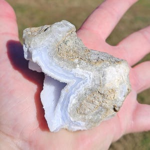 Puede incluir: Un trozo de piedra preciosa de &aacute;gata de encaje azul, sostenido en una mano. La piedra tiene capas de azul p&aacute;lido y blanco, con un exterior rugoso y texturizado en tonos de beige y gris. La piedra preciosa tiene una forma natural y org&aacute;nica.