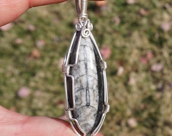 Orthoceras Fossil and Sterling Silver Wire Wrapped Pendant ~ Natural Organic Fossil Wire Wrap, Men's Pendant, Black and White ~ 2.25" x 3/4"