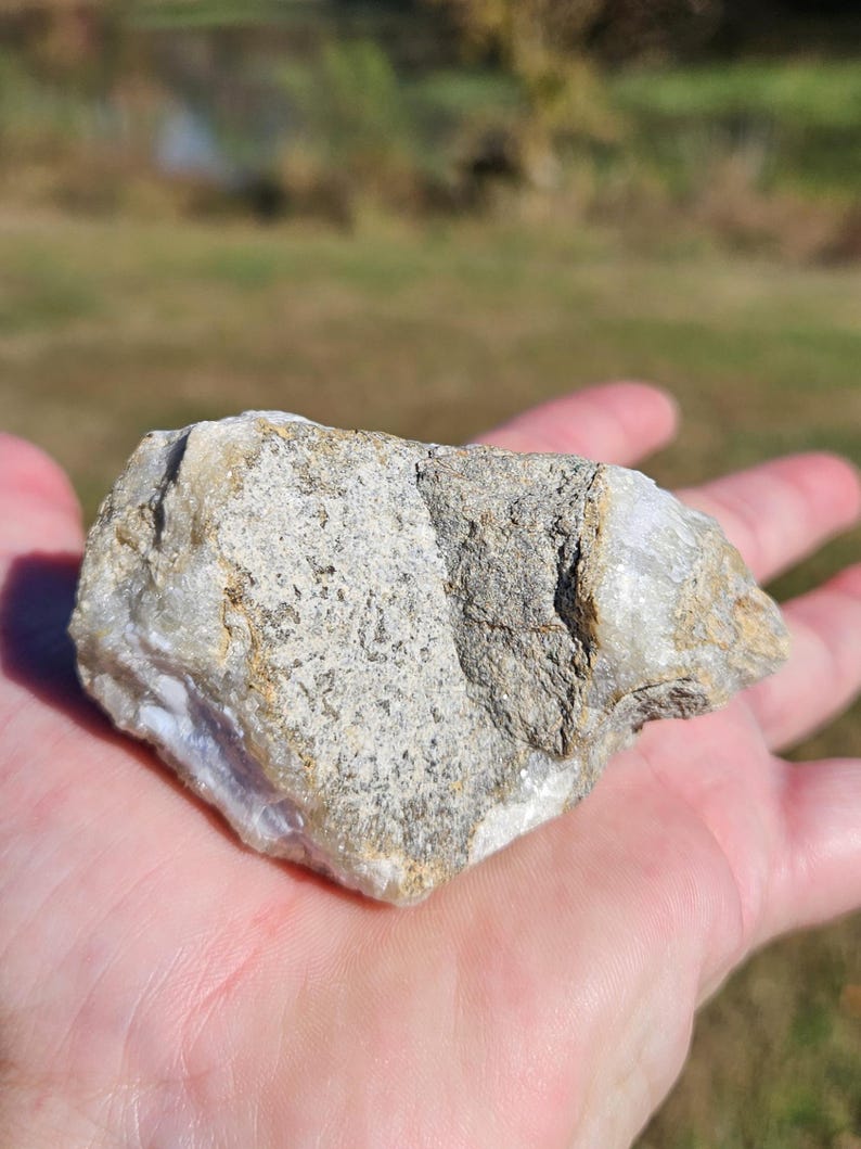 Puede incluir: Una roca &aacute;spera e irregular, con una mezcla de tonos grises, beige y blancos. La roca se sostiene en una mano abierta, con un fondo borroso de hierba verde y &aacute;rboles.
