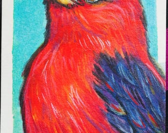 Original ACEO Painting – Bird Series - Scarlet Tanager Portrait, Pop Art Miniature