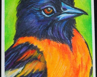 Original ACEO Painting – Bird Series - Oriole Portrait, Pop Art Miniature