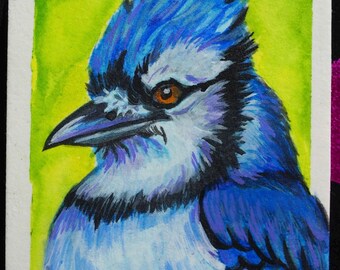 Original ACEO Painting – Bird Series - Bluejay Portrait, Pop Art Miniature