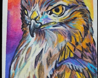 Original ACEO Painting – Bird Series - Red-tailed Hawk, Pop Art Miniature