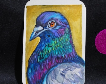 Original ACEO Painting – Bird Series - Pigeon Portrait, Pop Art Miniature