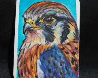 Original ACEO Painting – Bird Series - Kestrel Portrait, Pop Art Miniature