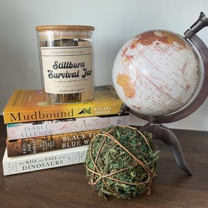 Stillborn Survival Jar | Stillborn gift | Gift for Stillborn