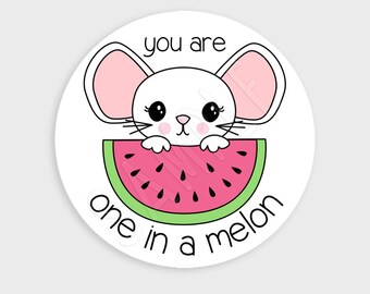 Mouse and Watermelon Laptop Sticker, Large, Laptop Decal, Notebook Stickers, high quality waterproof die cut vinyl, professional grade