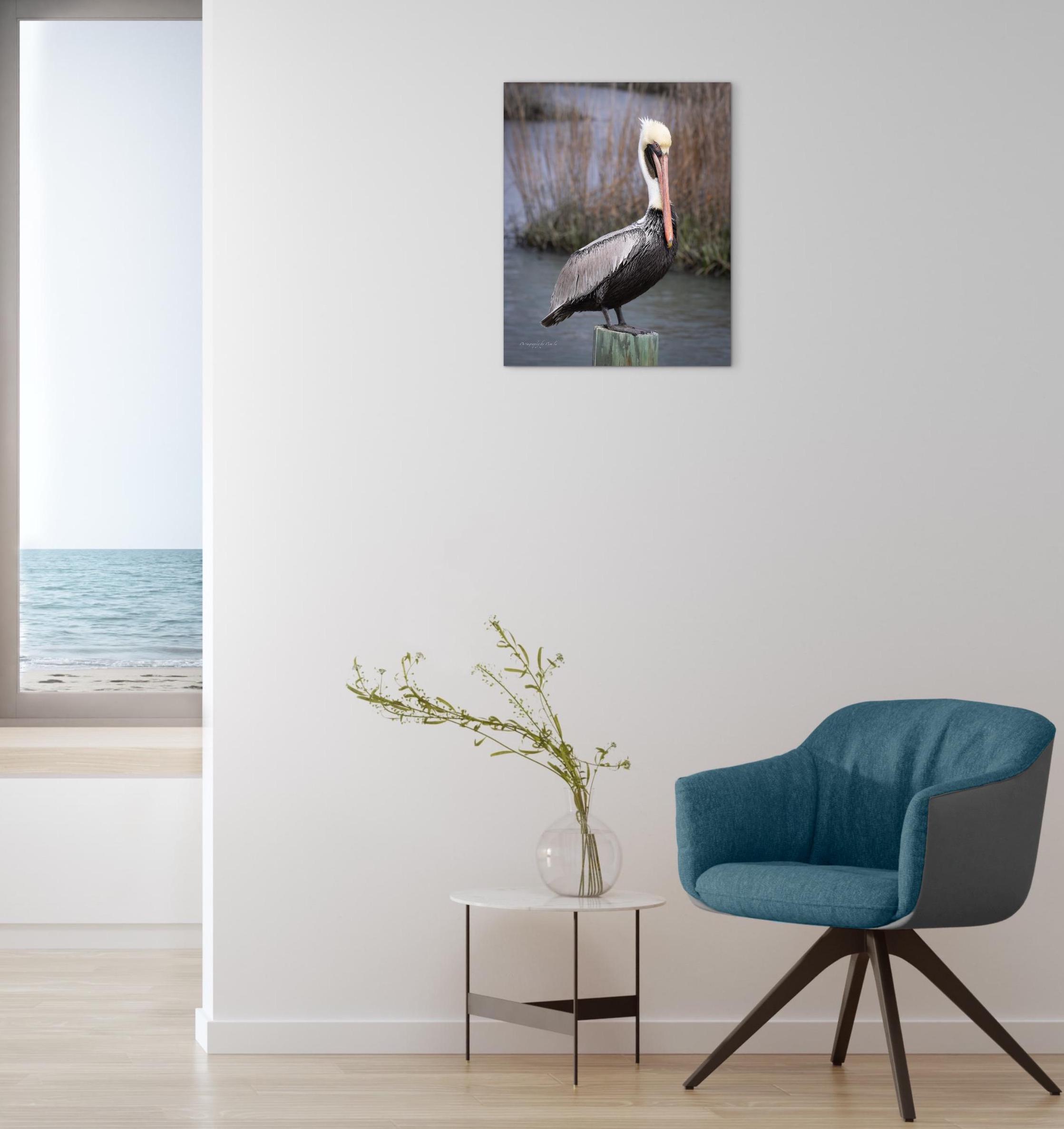 Pelican Coastal Photography Print | Beach Bird Wall Art | Ocean ...