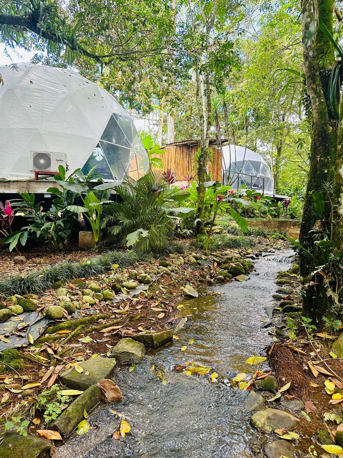 Curated visual reference: Visual Reference: 5M Luxury Geo Dome Modern Glamping Dome For Ultimate Outdoor