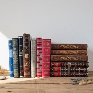 Puede incluir: Una colección de libros antiguos con varios colores y diseños. Los libros están colocados sobre una superficie de madera, algunos de pie y otros apilados. También hay un cuenco decorativo y plantas secas.