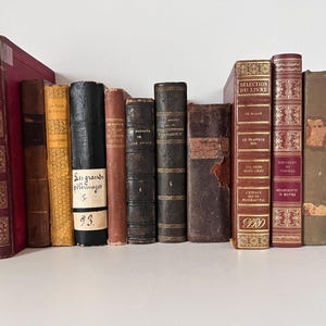 Libro decorativo francés muy antiguo: pátina desgastada y desgaste / Libro de personajes antiguos, se vende por unidad