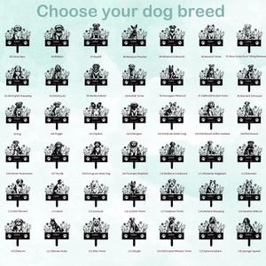 May include: A chart featuring black and white illustrations of various dog breeds. Each breed is numbered and labelled with its name. The chart is set against a light blue background.