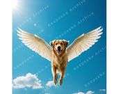 Memory Photo Dog Pet Memorial Photos Pet Keepsake Custom pet portrait