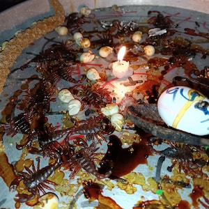 Può includere: Un vassoio di metallo con una candela accesa, diverse piccole figure di scorpioni marroni e oggetti bianchi sparsi. Sono presenti anche liquido scuro e un uovo decorato, creando una scena misteriosa e rituale.