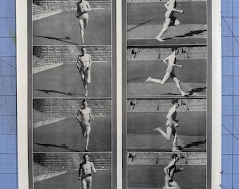 1943 Original Print Article Gunder Hagg Track Star