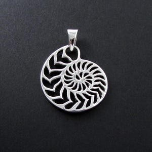 Sterling Silver Shell Pendant Necklace, Shell Pendant Necklace, Sterling Silver Pendant, Shell Necklace, Shell Pendant, Shell Charm
