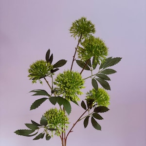 Artificial Allium Spray – Real Touch - Faux Flower Stem for Modern Home Décor, Wedding Arrangements, Event Styling & Bouquets