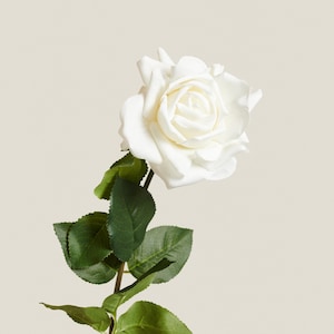 Artificial White Rose Stem – Real Touch Faux Flower for Bouquets, Wedding Decor, Home Styling & DIY Arrangements