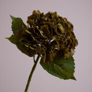 May include: A single stem of an artificial hydrangea flower in olive green hues. The large flower head is made up of numerous small, closely packed petals. Two large green leaves are visible. The stem is long and slender, with a textured surface.