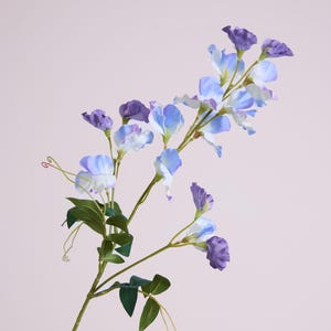 May include: A stem of artificial sweet pea flowers in shades of purple and light blue. The flowers have delicate, ruffled petals and are interspersed with green leaves and tendrils. The stem is a light green color, and the background is a soft pink.